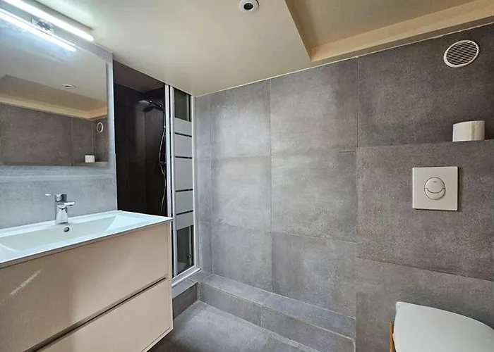 Appartement T2 Coconing, Wifi, Internet, Clim, 300M Plage